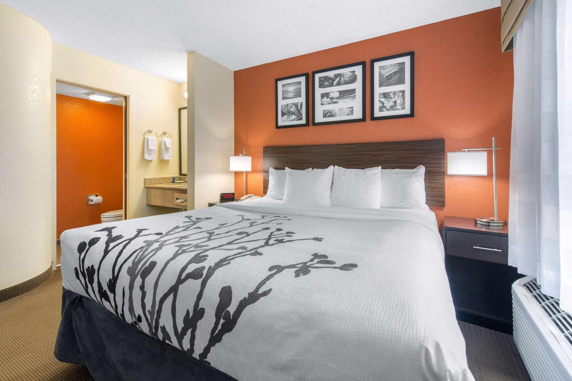 Sleep Inn Sarasota North Zewnętrze zdjęcie