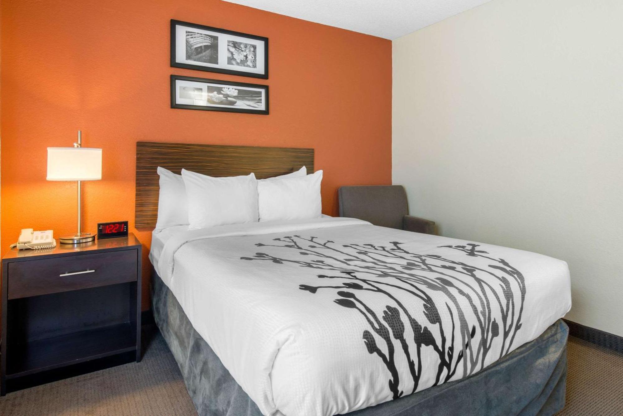 Sleep Inn Sarasota North Zewnętrze zdjęcie