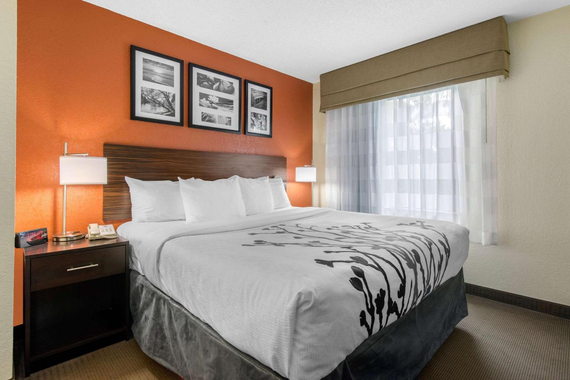 Sleep Inn Sarasota North Zewnętrze zdjęcie