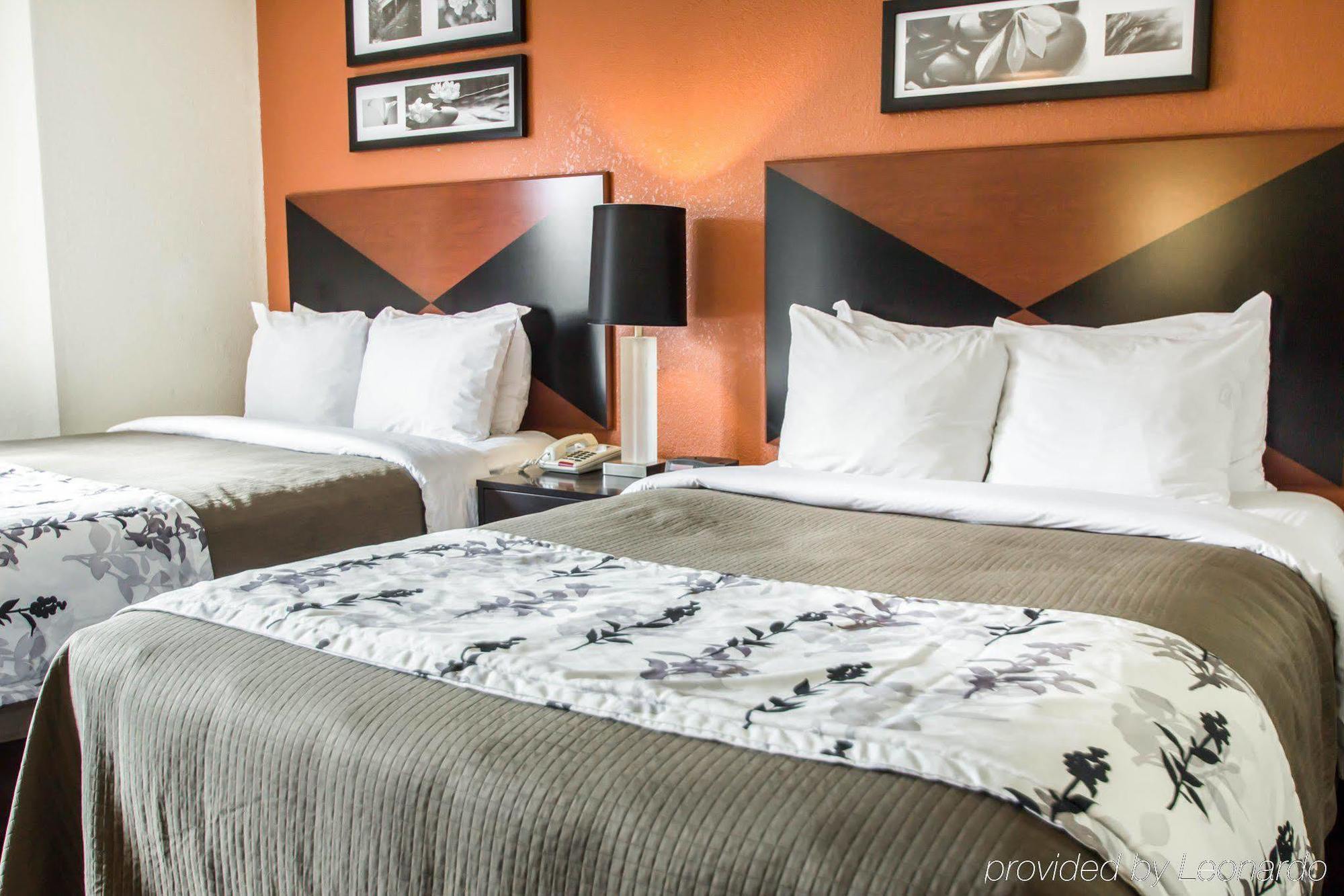 Sleep Inn Sarasota North Zewnętrze zdjęcie